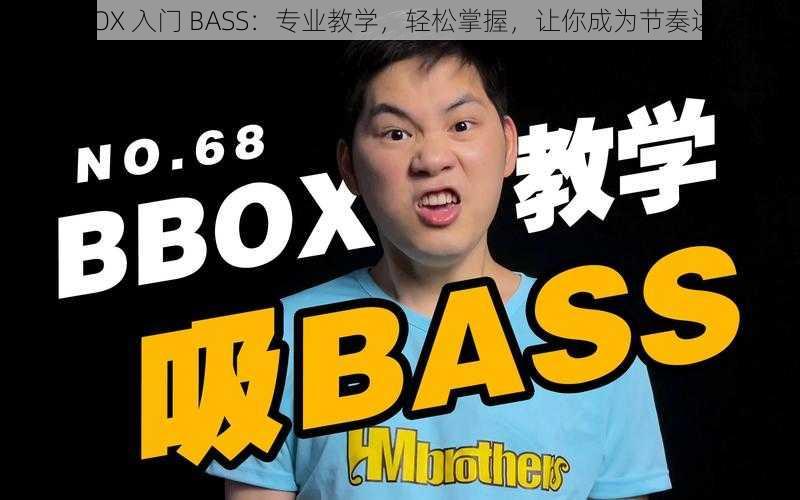 BBOX 入门 BASS：专业教学，轻松掌握，让你成为节奏达人