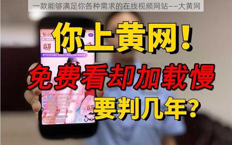 一款能够满足你各种需求的在线视频网站——大黄网