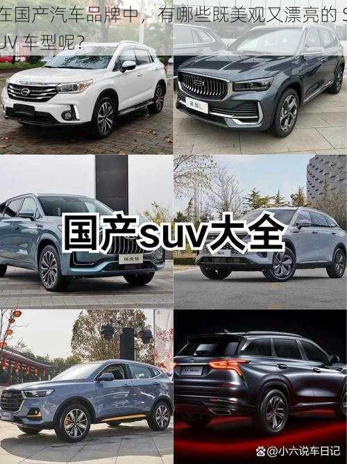 在国产汽车品牌中，有哪些既美观又漂亮的 SUV 车型呢？