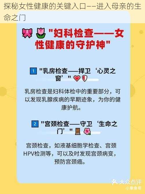 探秘女性健康的关键入口——进入母亲的生命之门