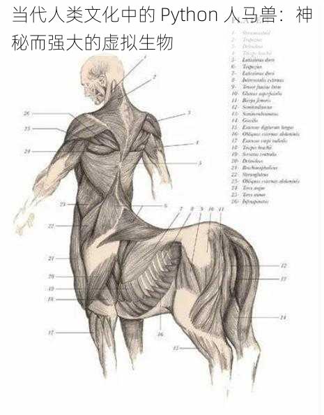 当代人类文化中的 Python 人马兽：神秘而强大的虚拟生物