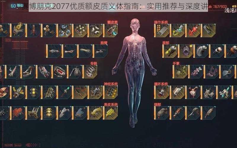 赛博朋克2077优质额皮质义体指南：实用推荐与深度讲解