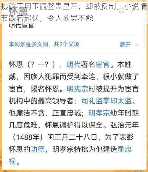 摄政王用玉髓整蛊皇帝，却被反制，小说情节跌宕起伏，令人欲罢不能