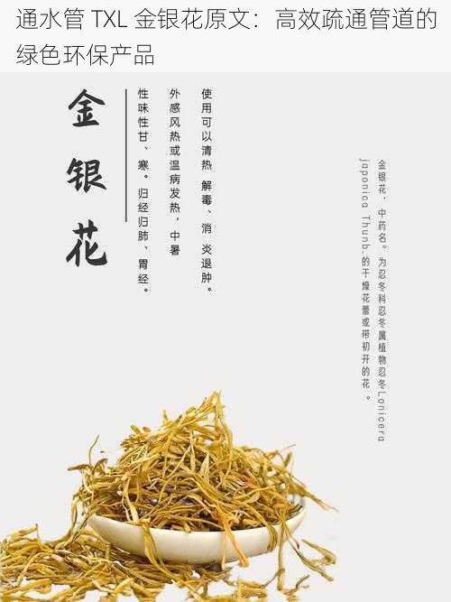 通水管 TXL 金银花原文：高效疏通管道的绿色环保产品