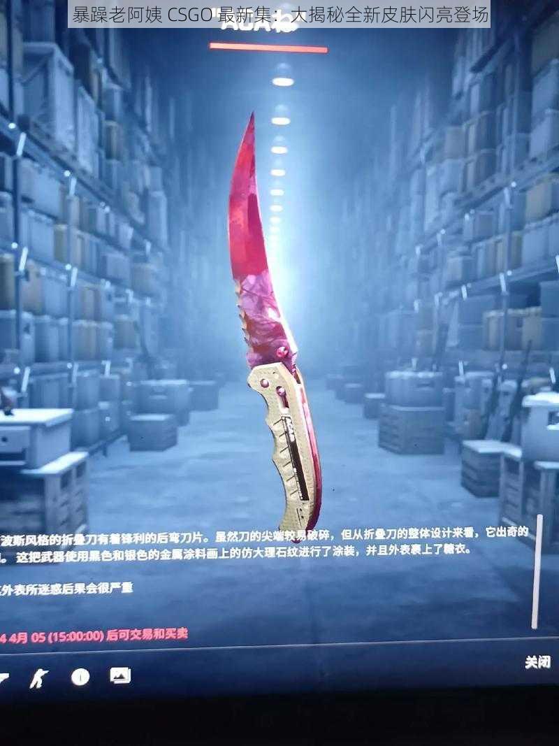 暴躁老阿姨 CSGO 最新集：大揭秘全新皮肤闪亮登场