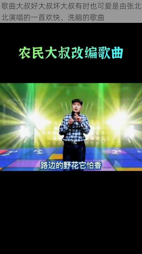 歌曲大叔好大叔坏大叔有时也可爱是由张北北演唱的一首欢快、洗脑的歌曲