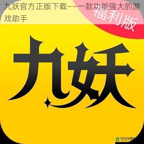 九妖官方正版下载——一款功能强大的游戏助手