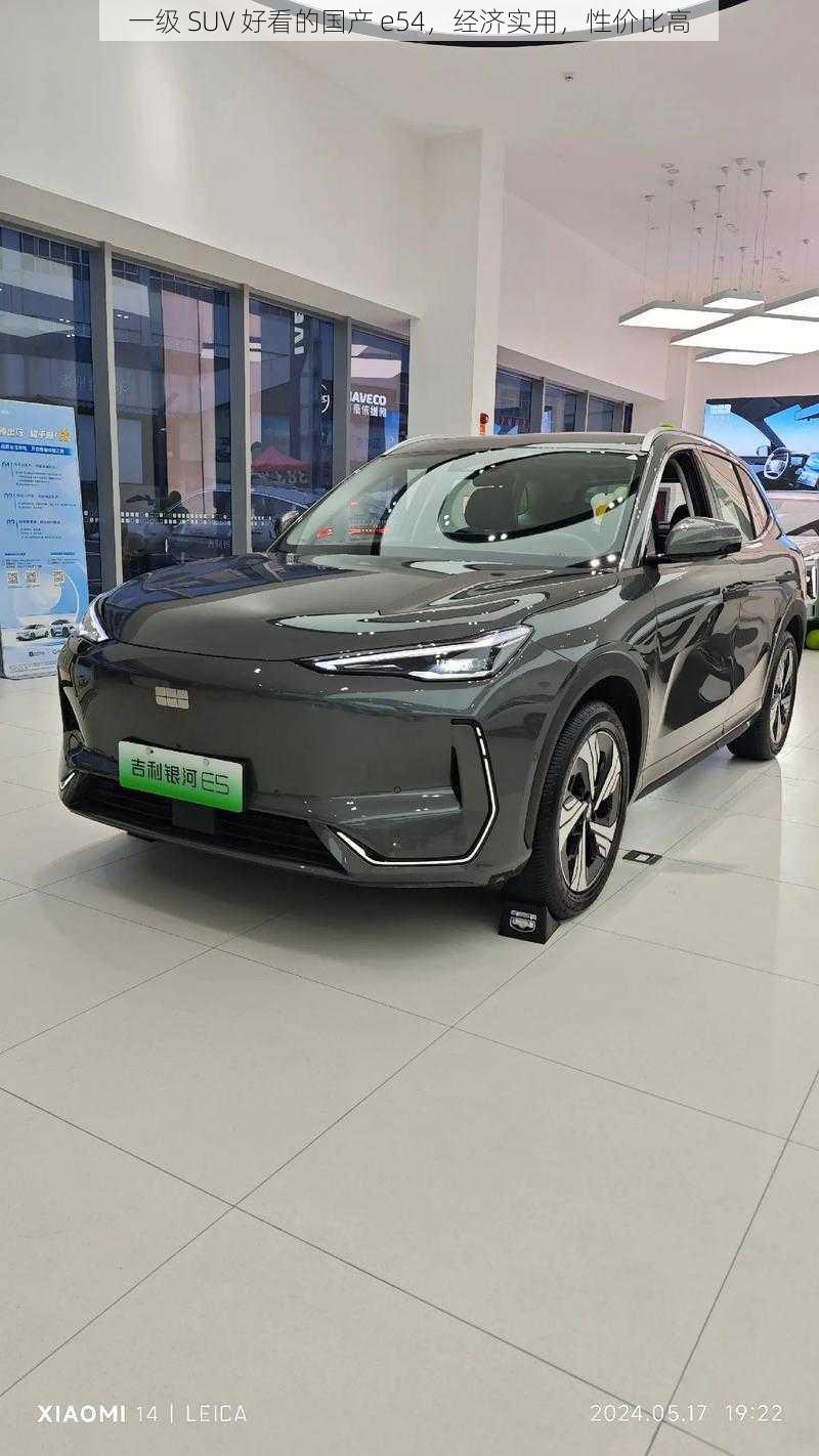 一级 SUV 好看的国产 e54，经济实用，性价比高