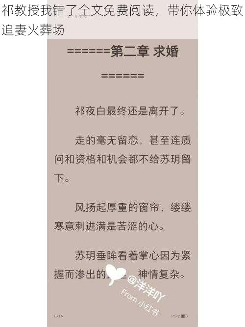 祁教授我错了全文免费阅读，带你体验极致追妻火葬场