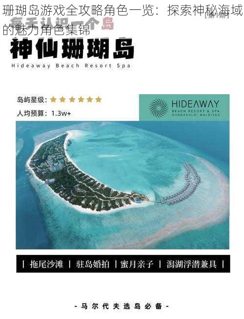 珊瑚岛游戏全攻略角色一览：探索神秘海域的魅力角色集锦