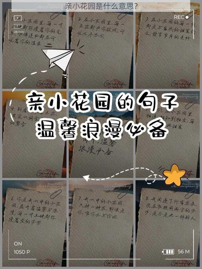 亲小花园是什么意思？