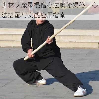 少林伏魔录棍僧心法奥秘揭秘：心法搭配与实战应用指南