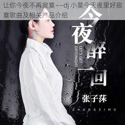 让你今夜不再寂寞——dj 小莫今天夜里好寂寞歌曲及相关产品介绍