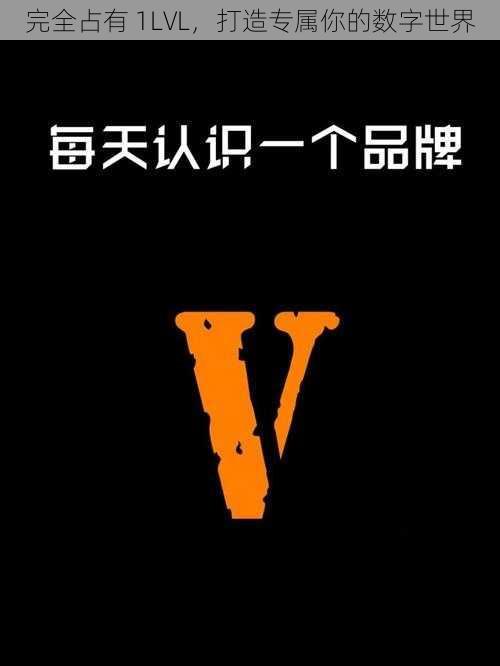 完全占有 1LVL，打造专属你的数字世界