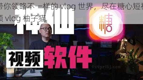 带你领略不一样的 vlog 世界，尽在糖心短视频 vlog 柚子猫