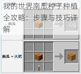 我的世界南瓜种子种植全攻略：步骤与技巧详解