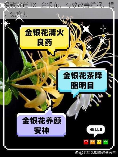 极致沉迷 TXL 金银花，有效改善睡眠，提升免疫力