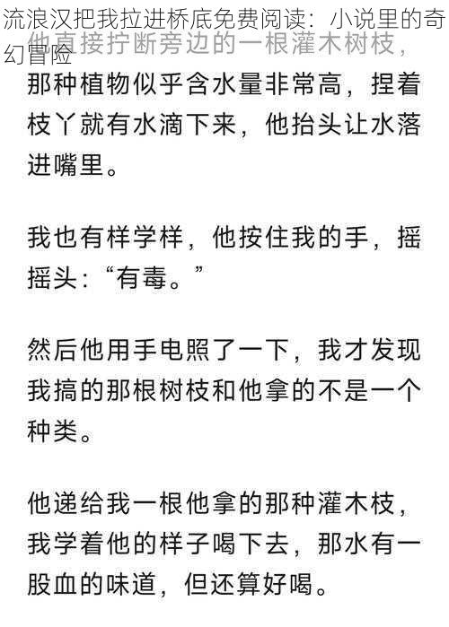 流浪汉把我拉进桥底免费阅读：小说里的奇幻冒险