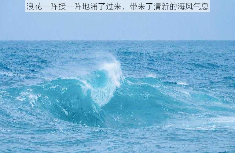 浪花一阵接一阵地涌了过来，带来了清新的海风气息