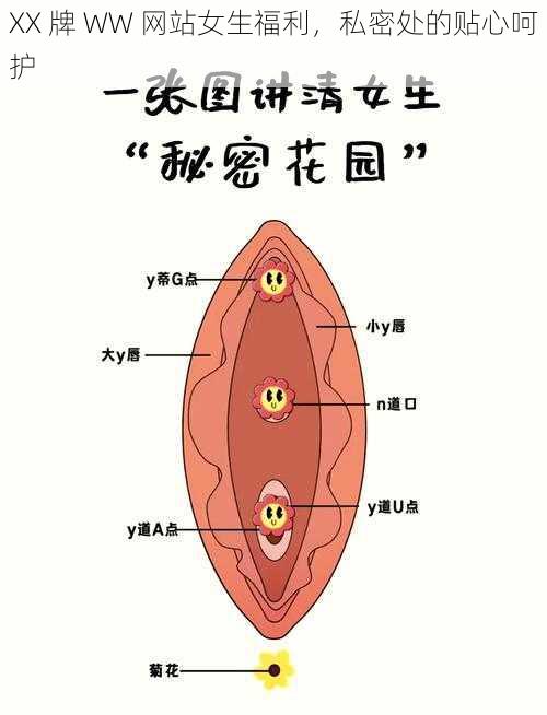 XX 牌 WW 网站女生福利，私密处的贴心呵护