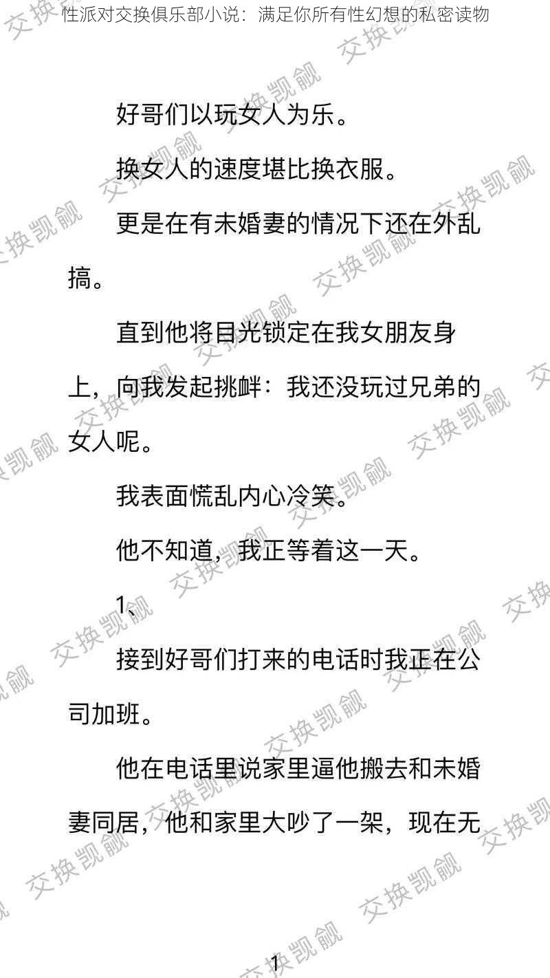 性派对交换俱乐部小说：满足你所有性幻想的私密读物