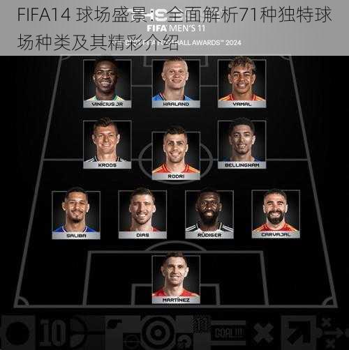 FIFA14 球场盛景：全面解析71种独特球场种类及其精彩介绍