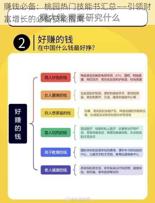 赚钱必备：桃园热门技能书汇总——引领财富增长的必备技能指南