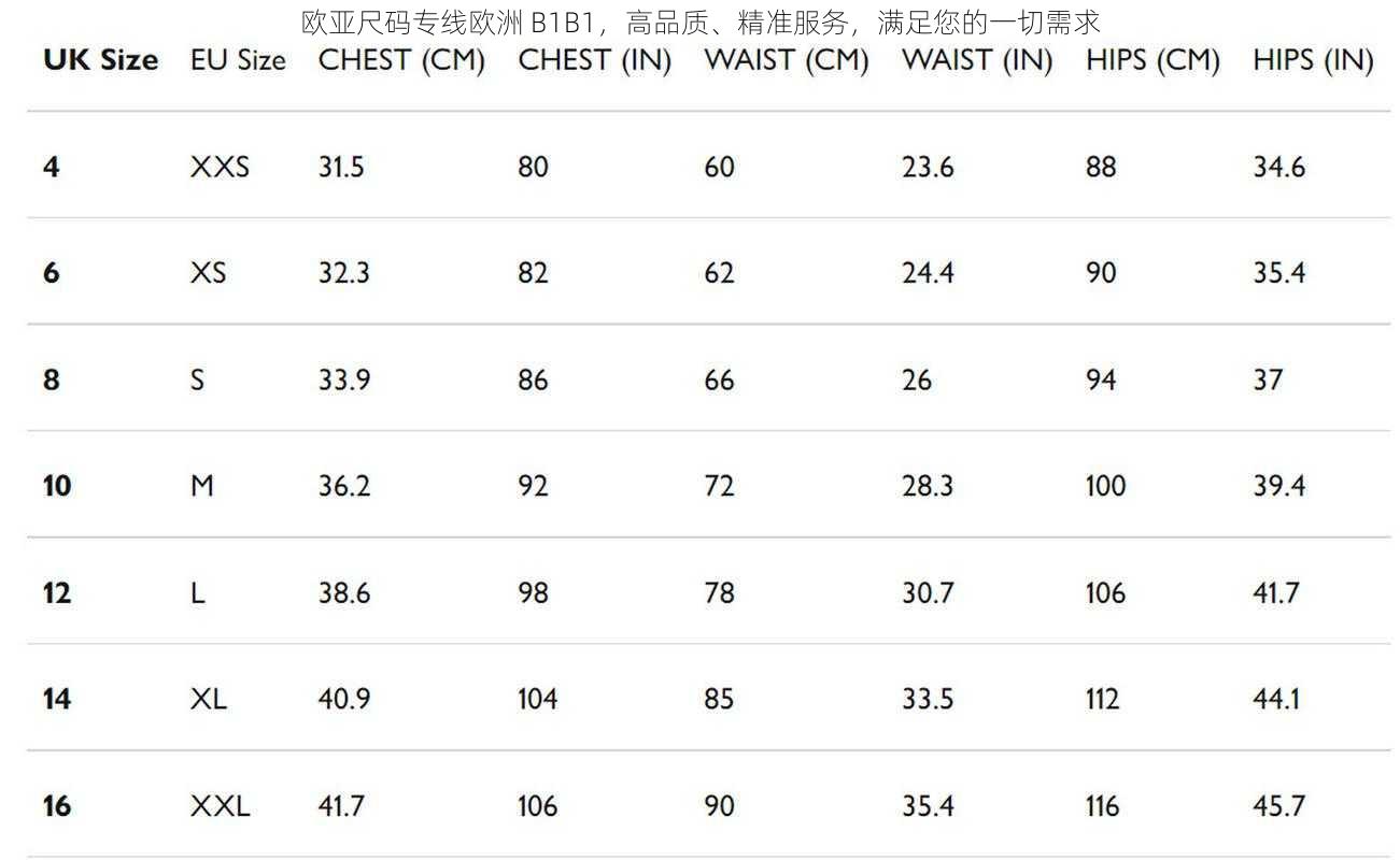 欧亚尺码专线欧洲 B1B1，高品质、精准服务，满足您的一切需求