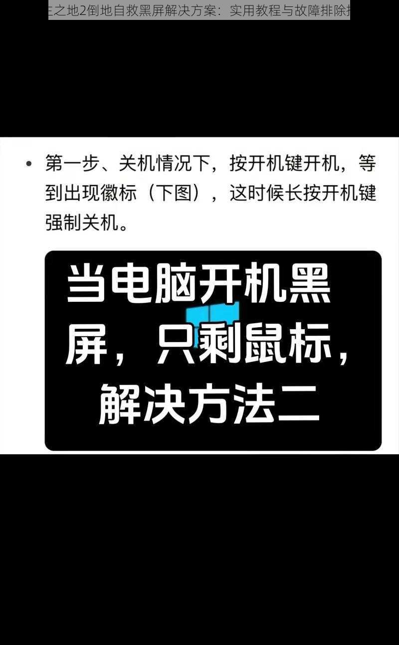 无主之地2倒地自救黑屏解决方案：实用教程与故障排除指南