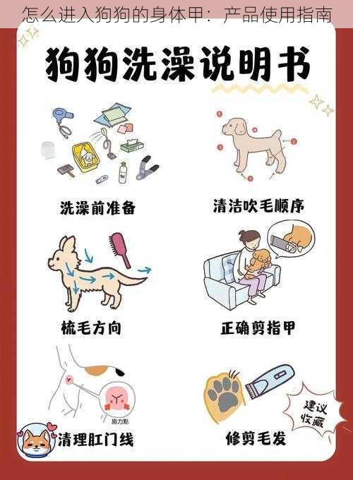 怎么进入狗狗的身体甲：产品使用指南