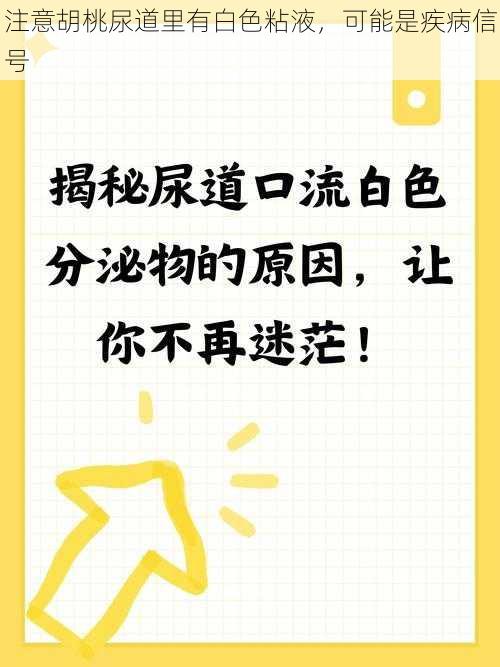 注意胡桃尿道里有白色粘液，可能是疾病信号