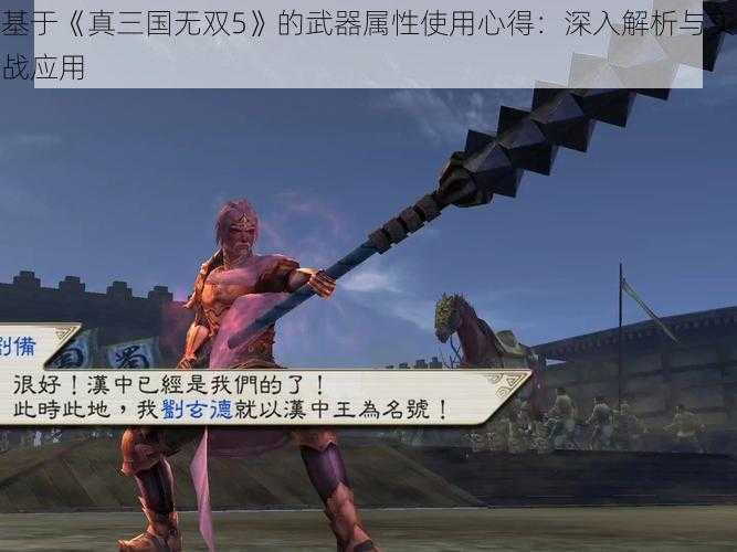 基于《真三国无双5》的武器属性使用心得：深入解析与实战应用