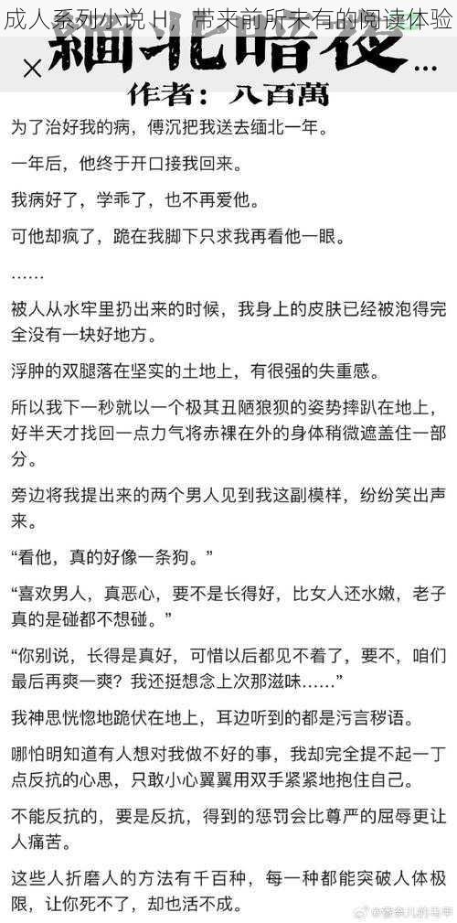 成人系列小说 H，带来前所未有的阅读体验