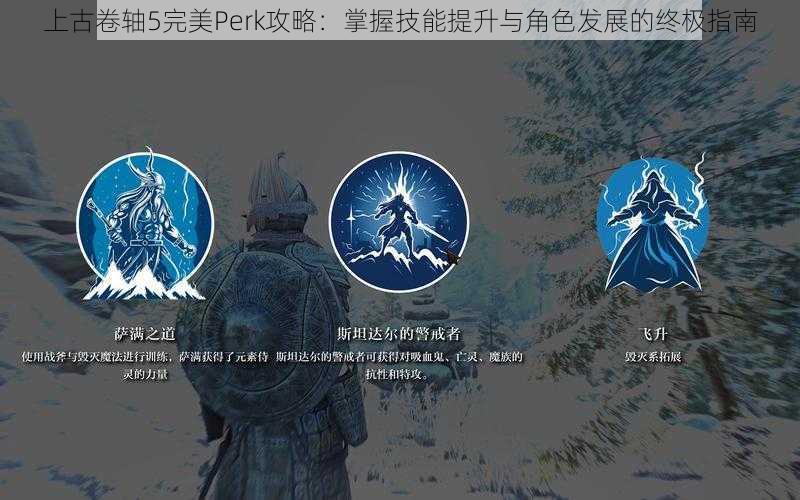 上古卷轴5完美Perk攻略：掌握技能提升与角色发展的终极指南