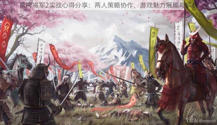 幕府将军2实战心得分享：两人策略协作，游戏魅力展现与解析