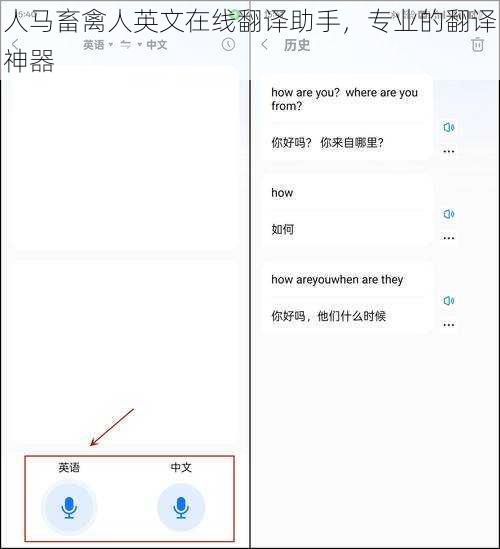 人马畜禽人英文在线翻译助手，专业的翻译神器