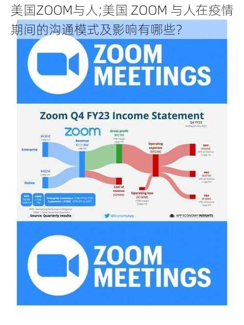 美国ZOOM与人;美国 ZOOM 与人在疫情期间的沟通模式及影响有哪些？