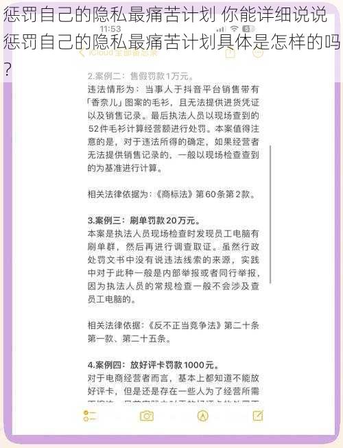 惩罚自己的隐私最痛苦计划 你能详细说说惩罚自己的隐私最痛苦计划具体是怎样的吗？