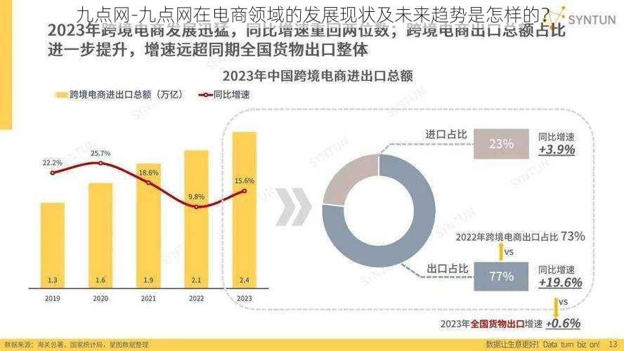 九点网-九点网在电商领域的发展现状及未来趋势是怎样的？