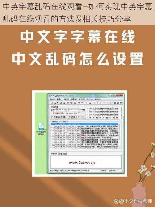 中英字幕乱码在线观看—如何实现中英字幕乱码在线观看的方法及相关技巧分享