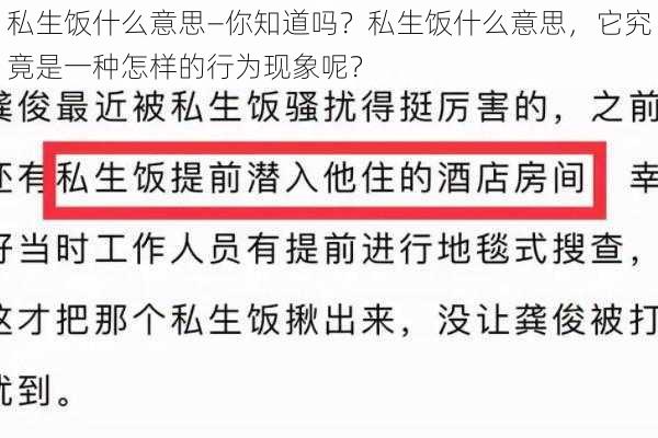 私生饭什么意思—你知道吗？私生饭什么意思，它究竟是一种怎样的行为现象呢？