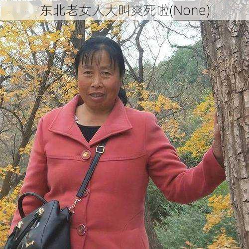 东北老女人大叫爽死啦(None)