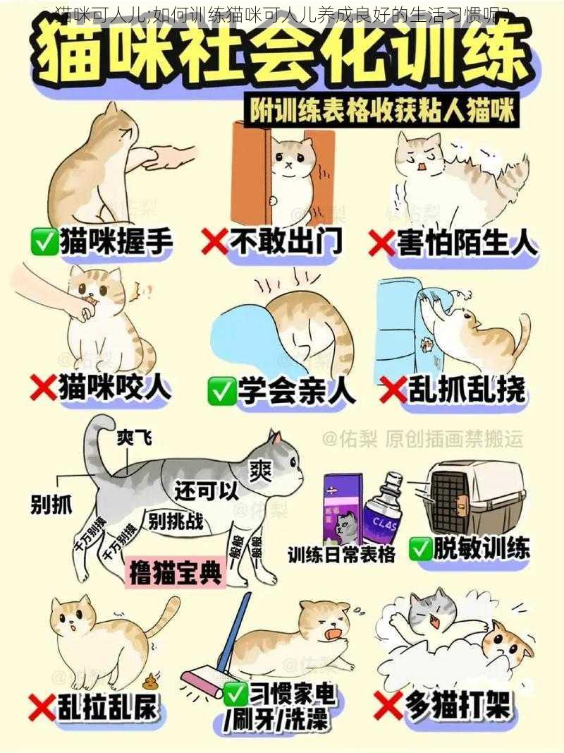 猫咪可人儿;如何训练猫咪可人儿养成良好的生活习惯呢？