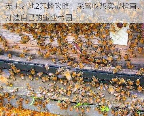 无主之地2养蜂攻略：采蜜收浆实战指南，打造自己的蜜业帝国