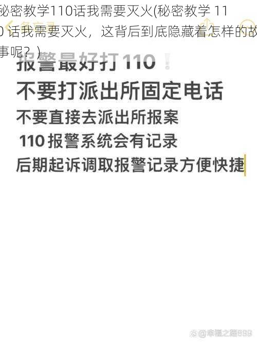 秘密教学110话我需要灭火(秘密教学 110 话我需要灭火，这背后到底隐藏着怎样的故事呢？)