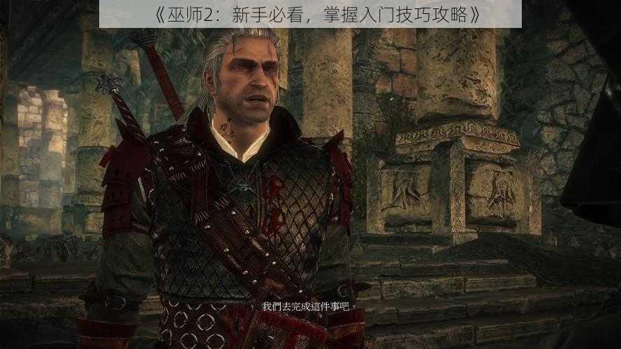 《巫师2：新手必看，掌握入门技巧攻略》