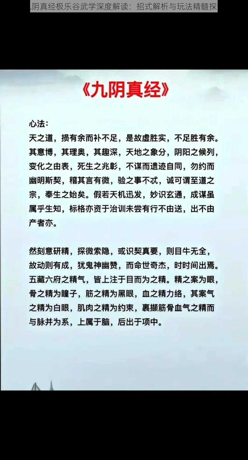 九阴真经极乐谷武学深度解读：招式解析与玩法精髓探讨