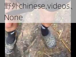 野外chinese.videos、None