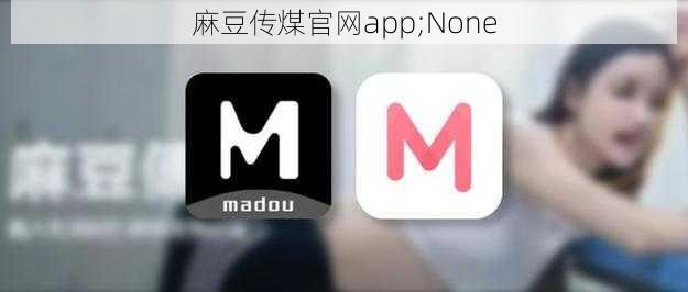 麻豆传煤官网app;None