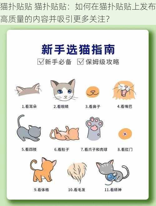 猫扑贴贴 猫扑贴贴：如何在猫扑贴贴上发布高质量的内容并吸引更多关注？